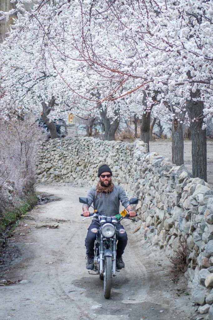 traveler riding motorbike in hunza in spring flowers
