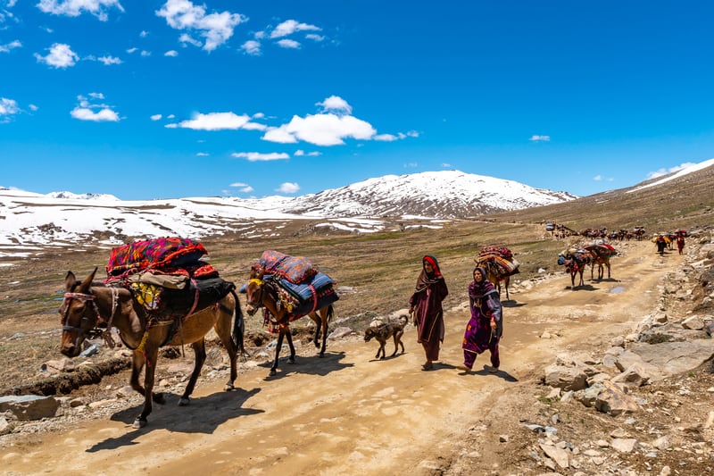 nomads in deosai national park